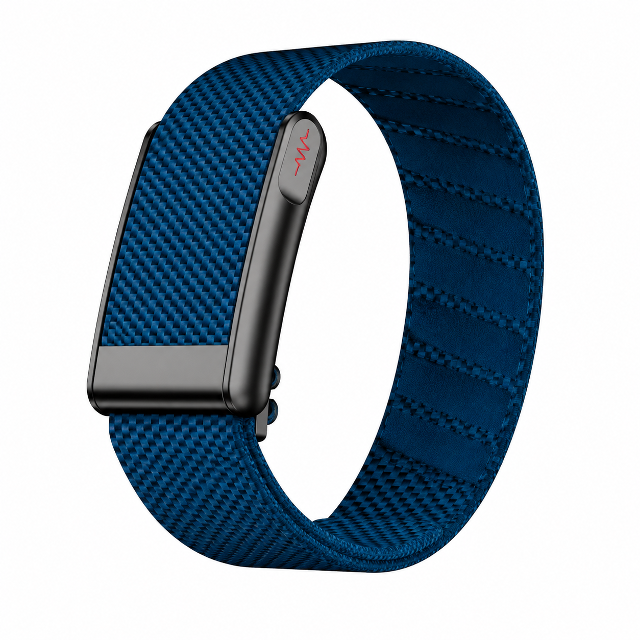 Loop Fitness Band